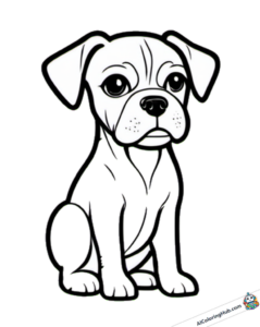Immagine da colorare giovane boxer (cane)