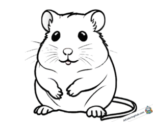 Gráfico para colorir hamster fofo